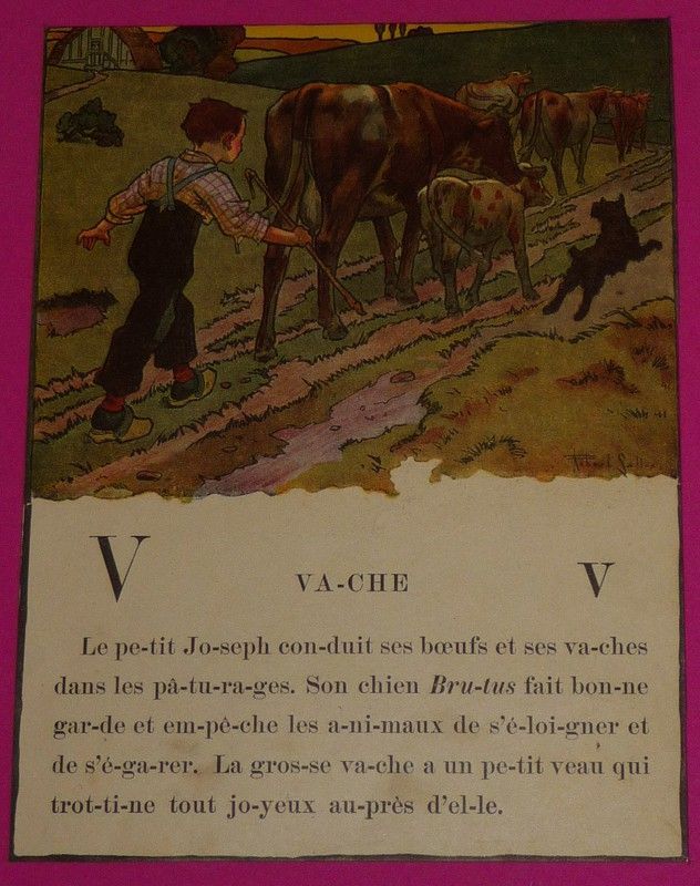Illustration de Robert Sallès : V comme Vache (Je saurai lire)