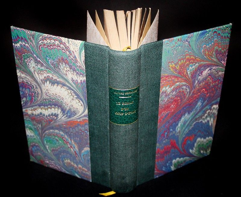 Le Roman d'un coup d'état : la jeunesse de Napoléon II