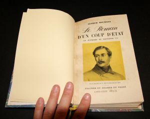 Le Roman d'un coup d'état : la jeunesse de Napoléon II