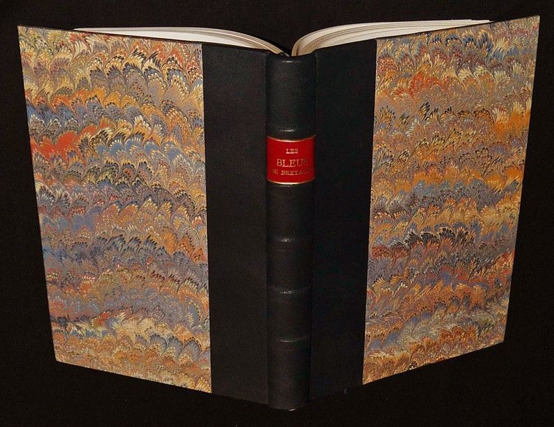 Les Bleus de Bretagne, de la Révolution à nos jours (Actes du colloque de Saint-Brieuc - Ploufragan, 3-5 octobre 1990