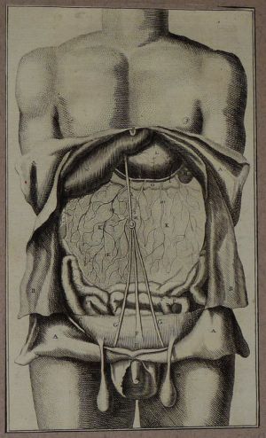 Gravure tirée de "L'Anatomie chirurgicale" de Palfin (1734) : Tome 1, planche V
