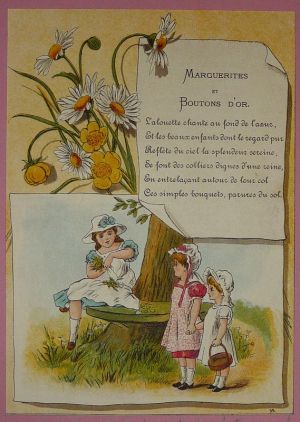 Illustration tirée de "La Gazette des enfants" (fin XIXe siècle) : Marguerites et Boutons d'or