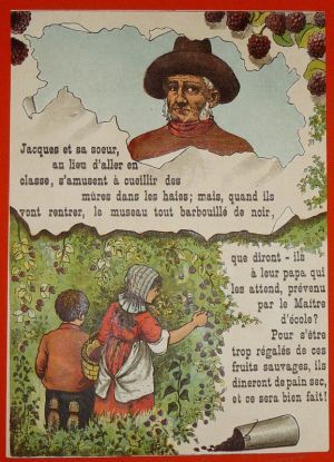 Illustration tirée de "La Gazette des enfants" (fin XIXe siècle) : La cueillette des mûres