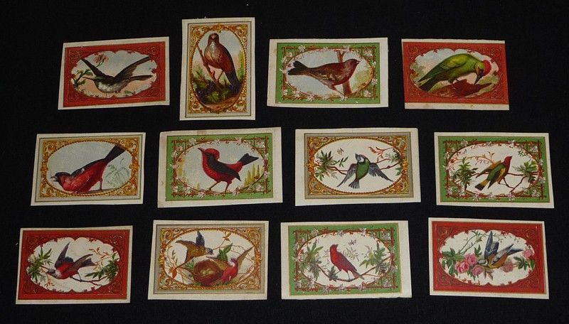 Lot de 12 chromos : Oiseaux et mois de l'année