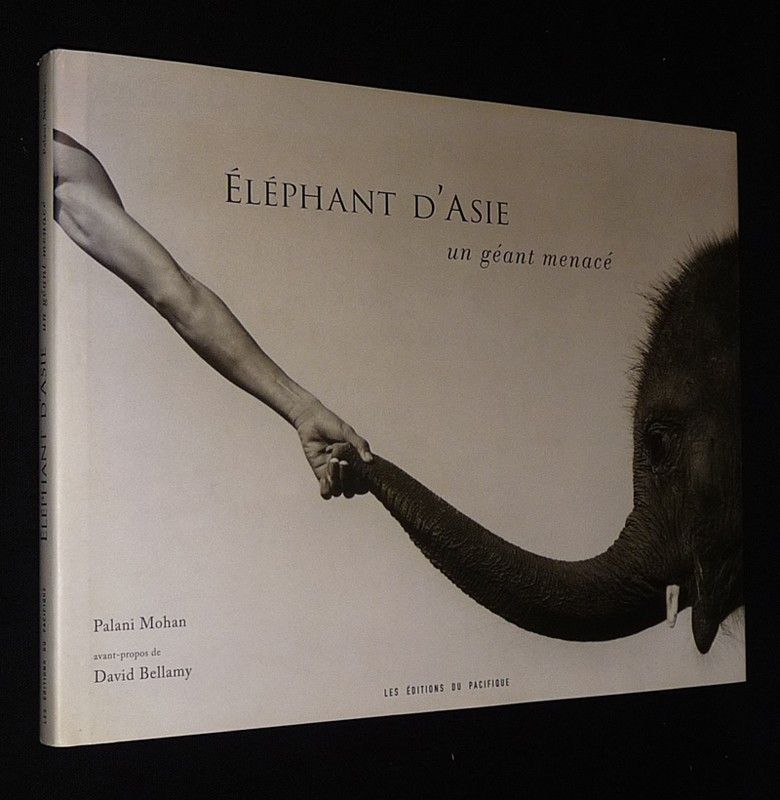Eléphant d'Asie : Un géant menacé