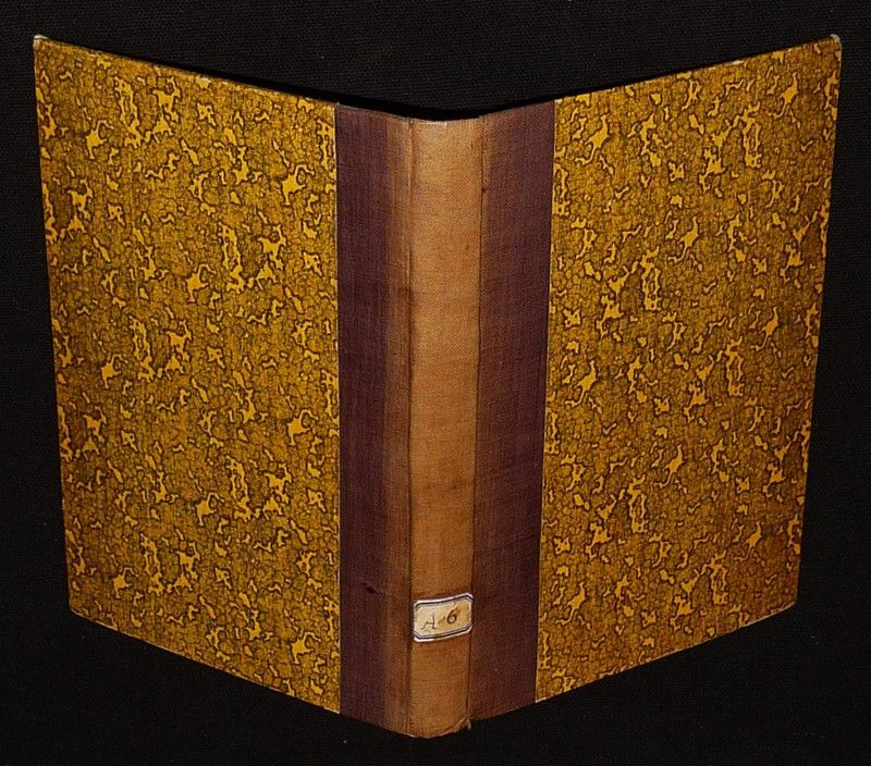 Saint Jean Berchmans, scholastique de la Compagnie de Jésus