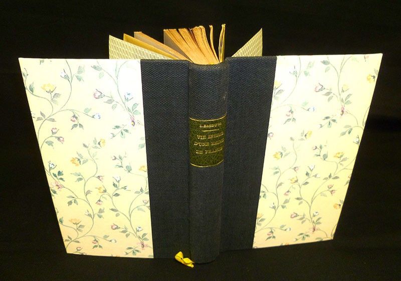 La vie intime d'une reine de France au XVIIe siècle : Marie de Médicis (tome 1)