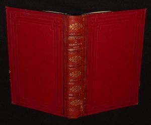 En campagne : Impressions d'un officier de lègère