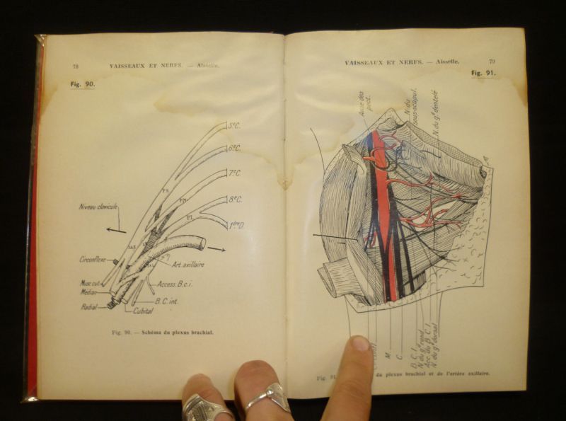 Précis d'anatomie : Anatomie des membres, ostéologie du crane, de la face, du thorax et du bassin. Texte et atlas (2 volumes)