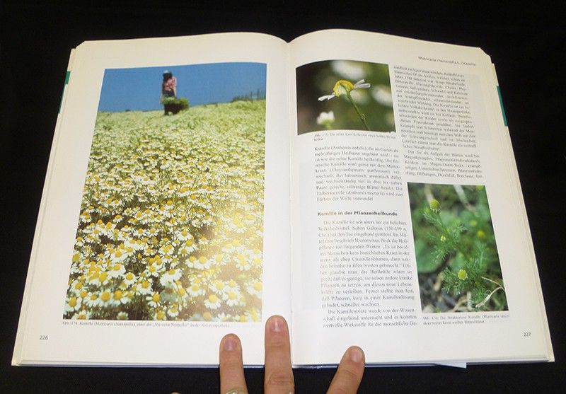 Hand Book of Materia Medica and Homoepathic Therapeutics