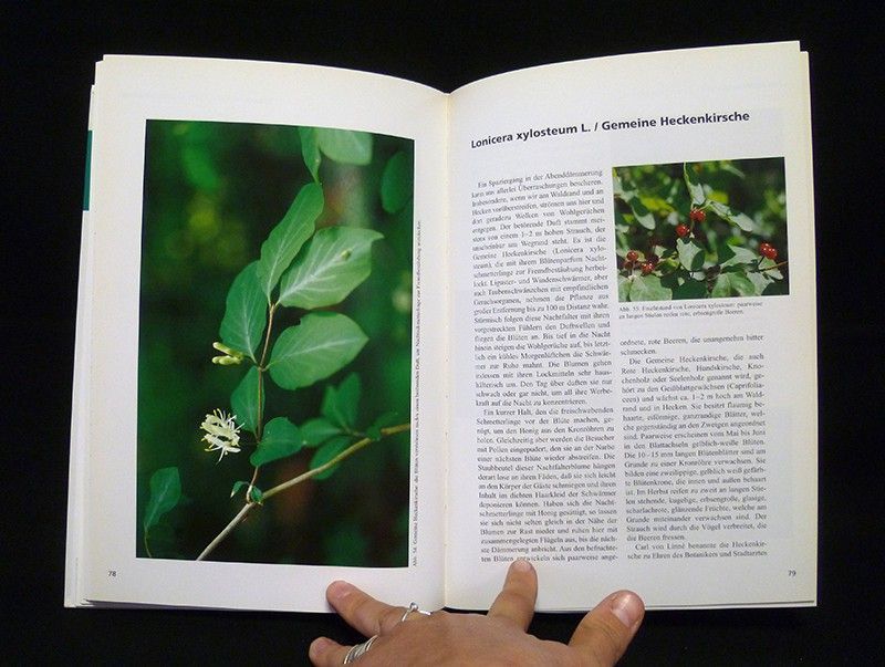 Hand Book of Materia Medica and Homoepathic Therapeutics