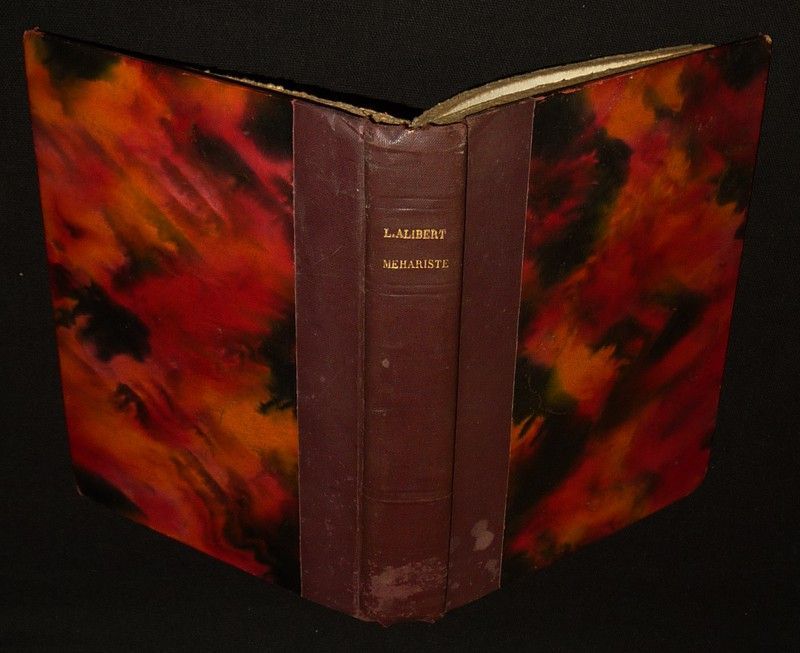 Méhariste, 1917-1918