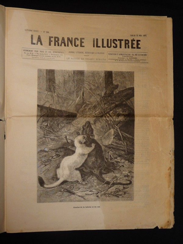 La France illustrée (7e année - n°286, samedi 22 mai 1880)