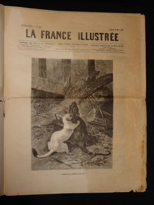 La France illustrée (7e année - n°286, samedi 22 mai 1880)