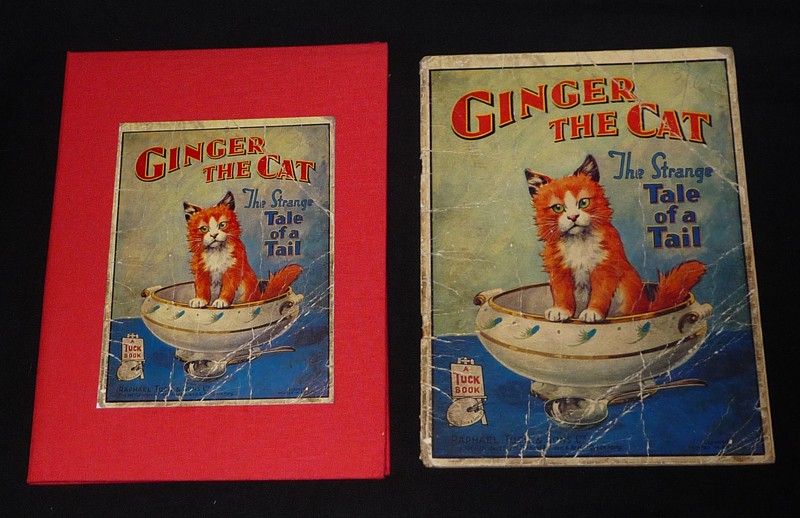 Ginger the Cat: The Strange Tale of a Tail