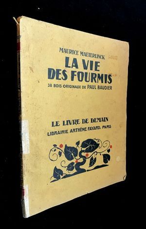 La vie des fourmis