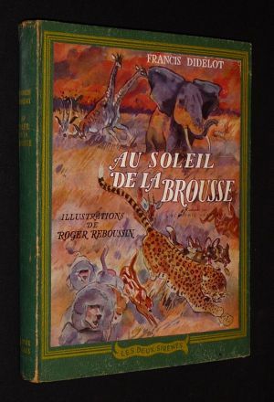 Au soleil de la brousse