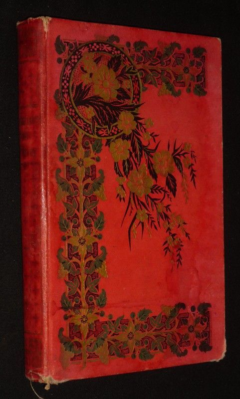 Souvenirs d'un officier des zouaves pontificaux