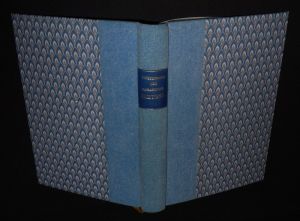 Dictionnaire des romanciers de Bretagne