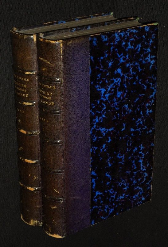 Histoire des princes de Condé pendant les XVIe et XVIIe siècles (2 volumes)