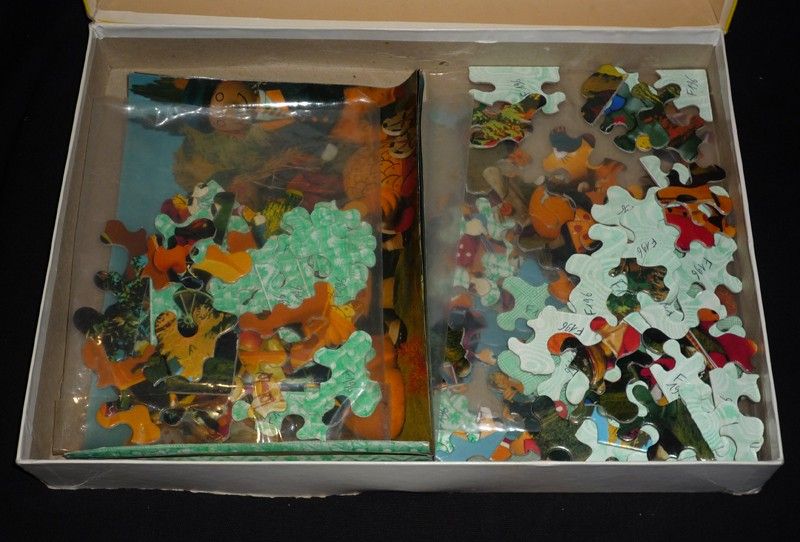 Boîte de 6 puzzles 40 pièces 