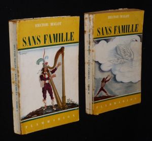 Sans famille (2 volumes)