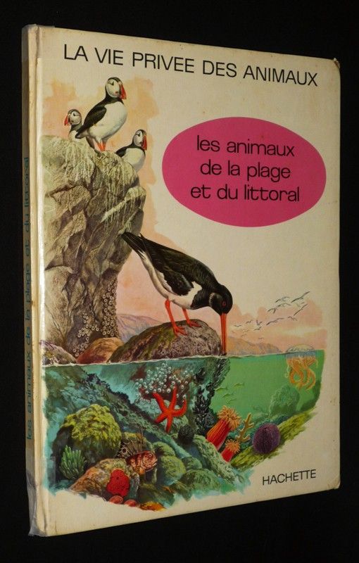 Les Animaux de la plage et du littoral (La vie privée des animaux)