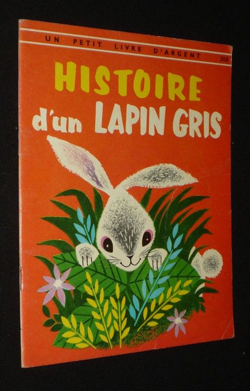 Histoire d'un lapin gris