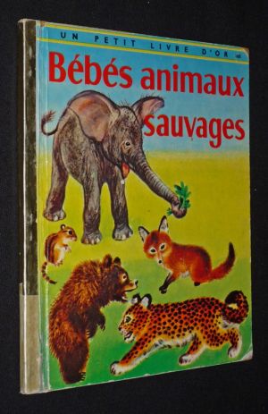 Bébés animaux sauvages