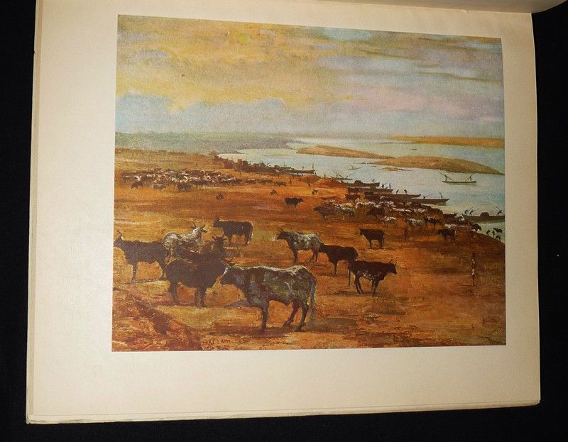 Paysages africains : Tchad - Tibesti - Fezzan - Borkou, précédé de la Colonne du Tchad