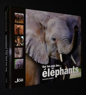 Sur les pas des... éléphants