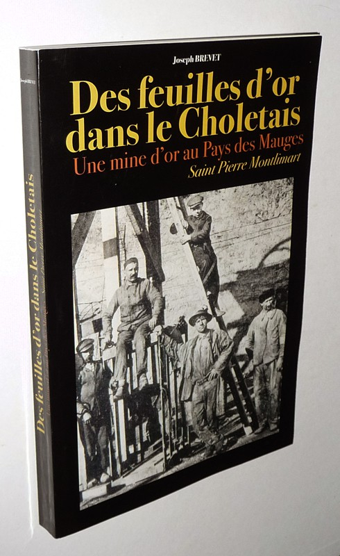 Des feuilles d'or dans le Choletais : Saint Pierre Montlimart en Anjou au XXe siècle, une mine d'or