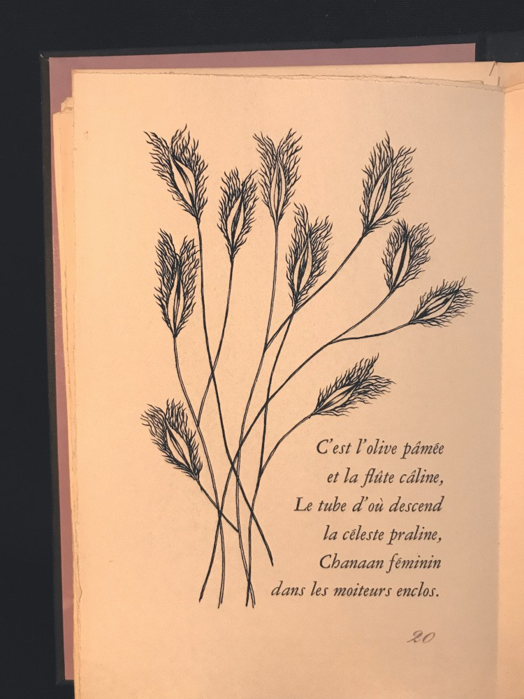 Poèmes, Les Stupra, Album dit Zutique (extraits)