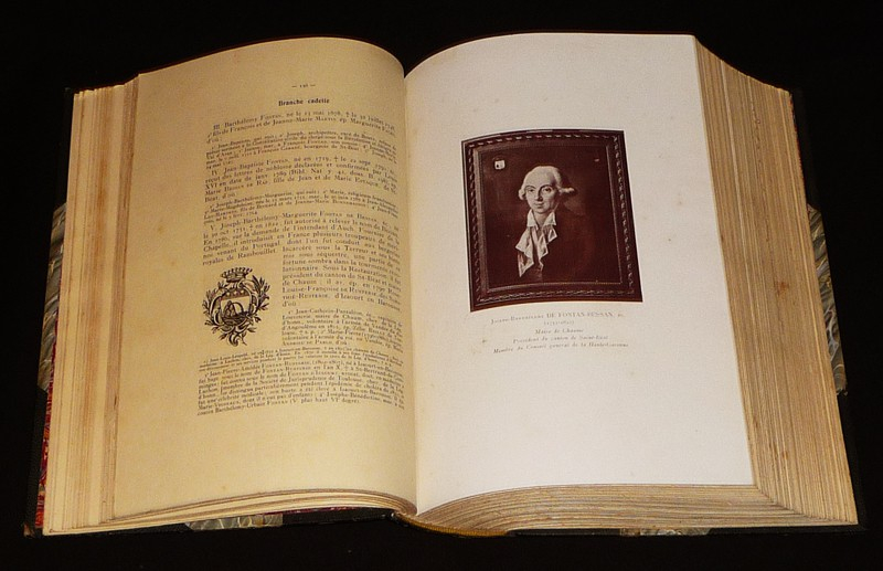 La France moderne. Grand dictionnaire généalogique, historique et biographique, Tome 3 : Haute-Garonne et Ariège