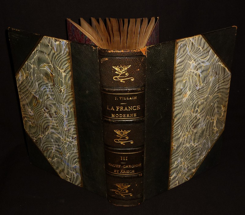 La France moderne. Grand dictionnaire généalogique, historique et biographique, Tome 3 : Haute-Garonne et Ariège