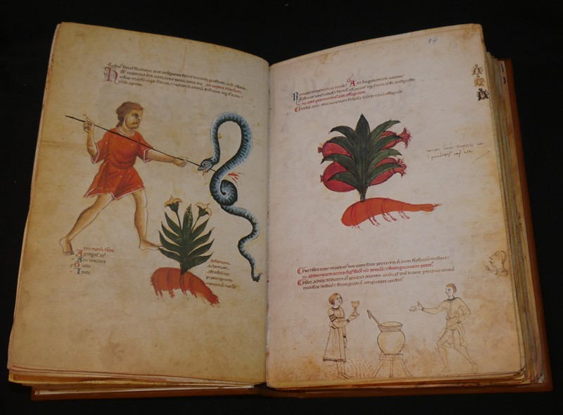 Medicina antiqua. Libri quattuor medicinae (2 volumes)