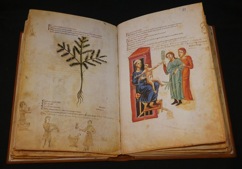 Medicina antiqua. Libri quattuor medicinae (2 volumes)