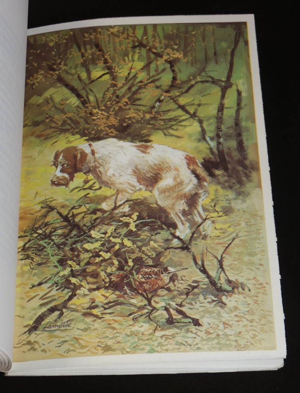 Le chasseur à la bécasse