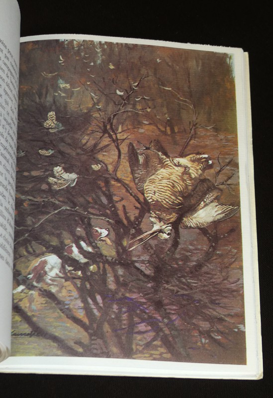 De la chasse à la bécasse à tir et au chien d'arrêt