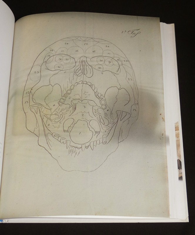 Memento mori. Kunstkammer Georg Laue