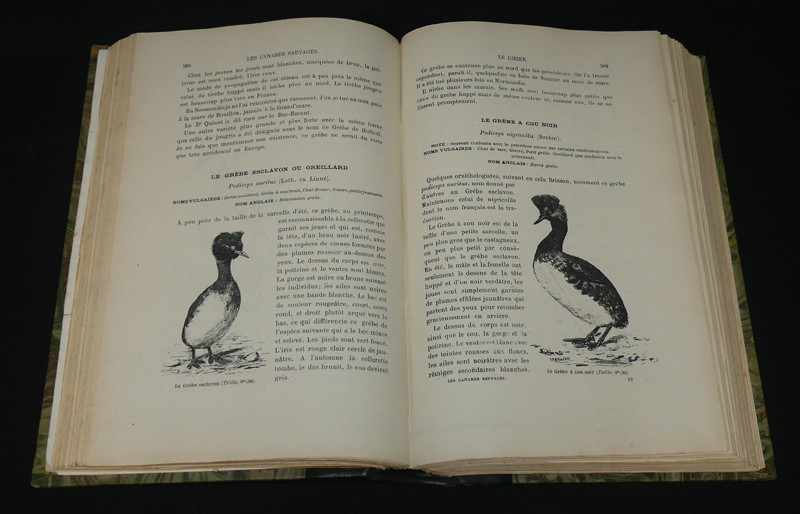 Les canards sauvages et leurs congénères - leurs migrations, leur description, et leur chasse de jour et de nuit, devant soi, en bateaux, à la hutte et au gabion