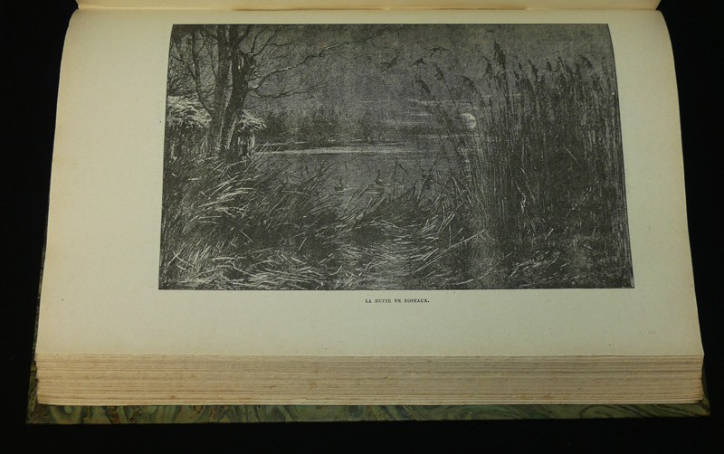 Les canards sauvages et leurs congénères - leurs migrations, leur description, et leur chasse de jour et de nuit, devant soi, en bateaux, à la hutte et au gabion