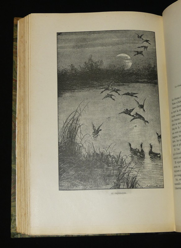 Les canards sauvages et leurs congénères - leurs migrations, leur description, et leur chasse de jour et de nuit, devant soi, en bateaux, à la hutte et au gabion