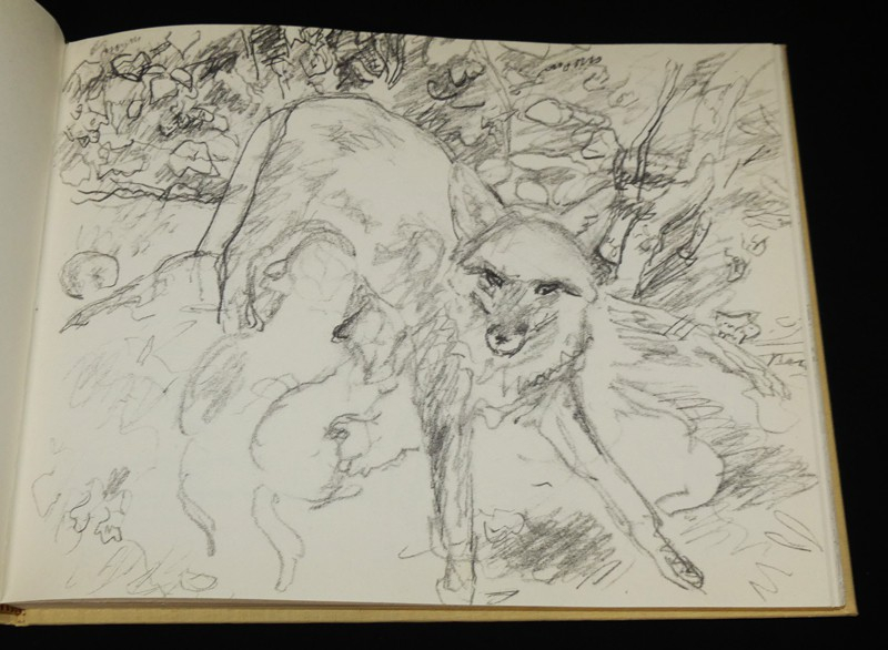 Robert Hainard Croquis de terrain