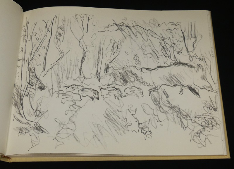 Robert Hainard Croquis de terrain