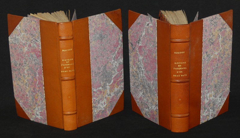Histoire et panorama d'un beau pays ou Saint-Malo, Saint-Servan, Dinan, Dol et environs (2 volumes)