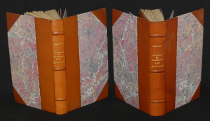 Histoire et panorama d'un beau pays ou Saint-Malo, Saint-Servan, Dinan, Dol et environs (2 volumes)