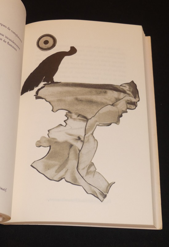 Plume d'eau claire : Livre d'heures sur le sage cadran des eaux