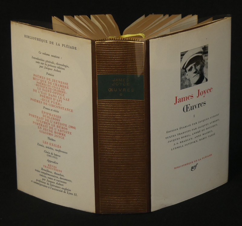 Oeuvres de James Joyce vol I (Bibliothèque de la Pléiade)