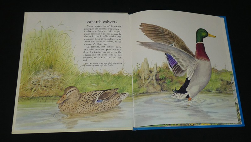 11 albums de la collection 